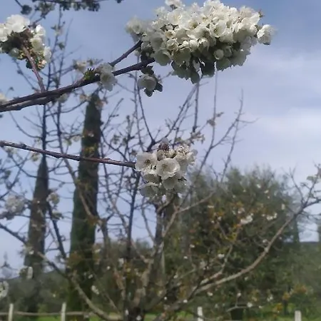 La Casetta Rosa Appartamento Scarlino