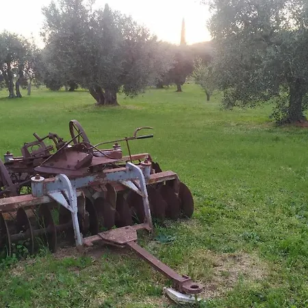 La Casetta Rosa Appartamento Scarlino