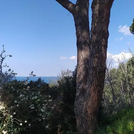 La Casetta Rosa Apartment *